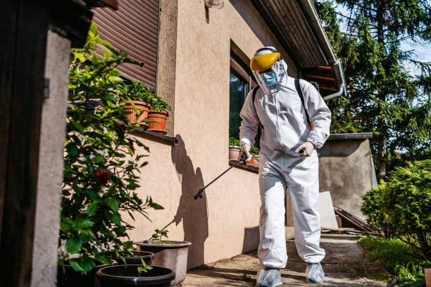 Best Bed Bug Extermination  in Lakewood Ranch, FL